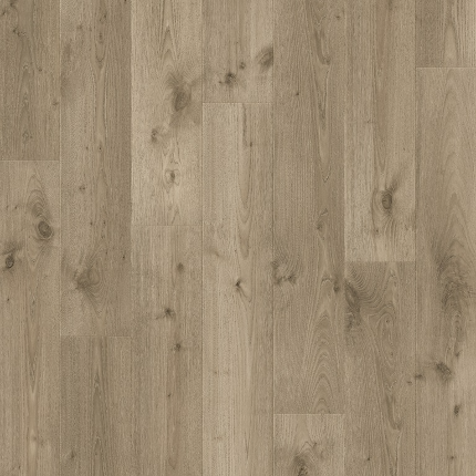 MEADOW OAK