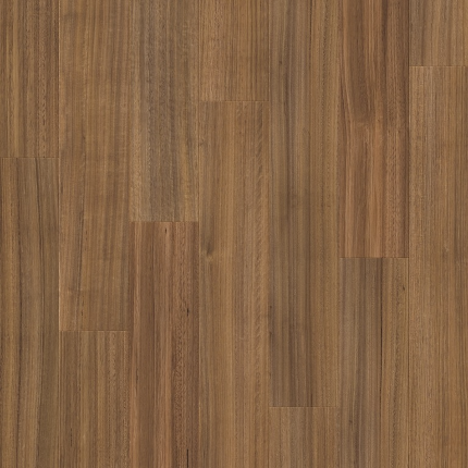 TASMANIAN OAK