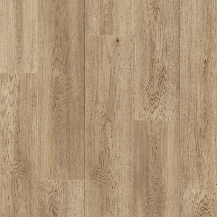 ABBEY OAK