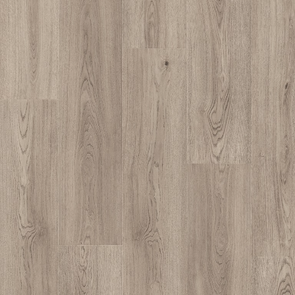 NORTHERN OAK
