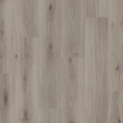 MAINE OAK