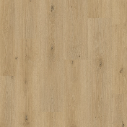 VINEYARD OAK